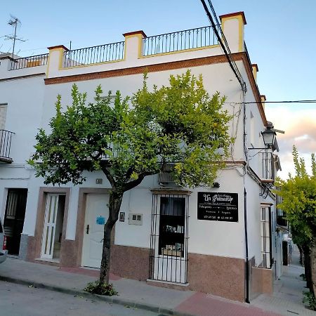 Jacaranda Villa Prado Del Rey Ngoại thất bức ảnh