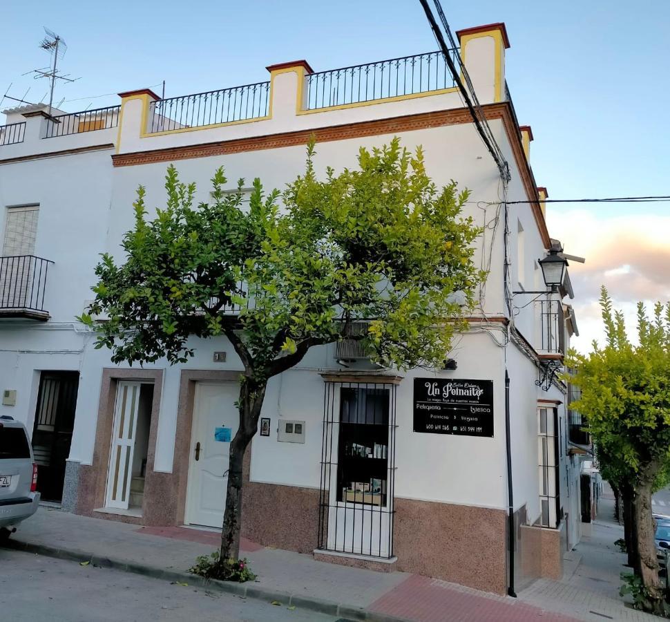 Jacaranda Villa Prado Del Rey Ngoại thất bức ảnh